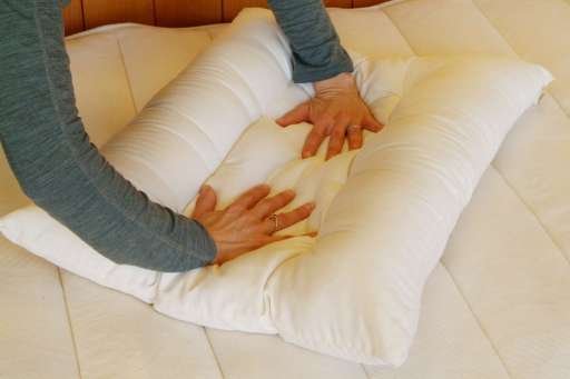 Eco-Wool Orthopedic Pillow Holy Lamb Organics