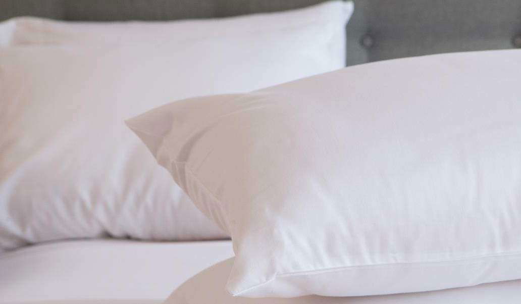 100% Natural Shredded Latex Pillow Covered in Organic Cotton