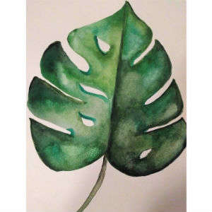 Monstera Leaf Watercolor Paint Tutorial - Let's Make Art