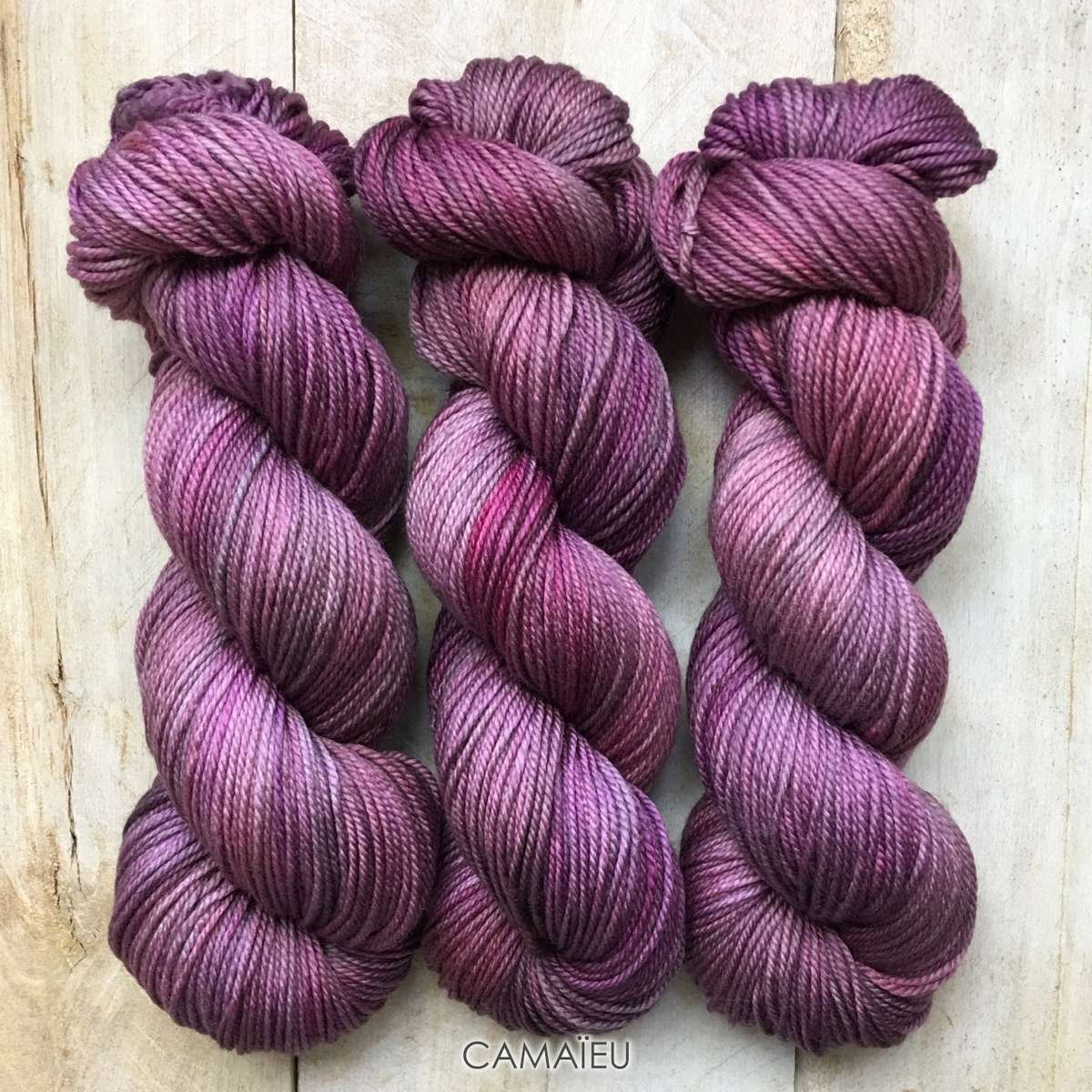 Hand-dyed yarn Louise Robert Camaïeu
