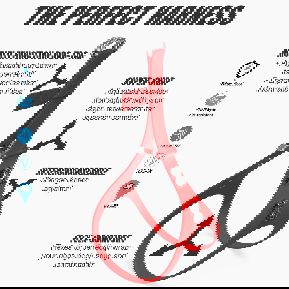 Silver Bone Harness BONEFLY