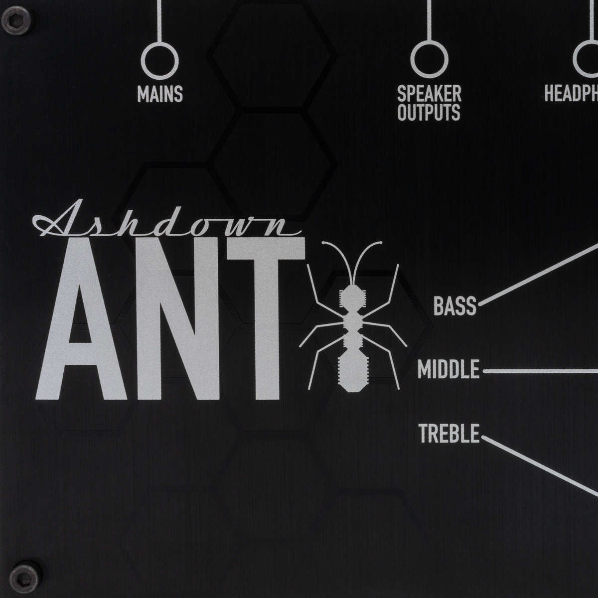 ashdown the ant amp close up of logo