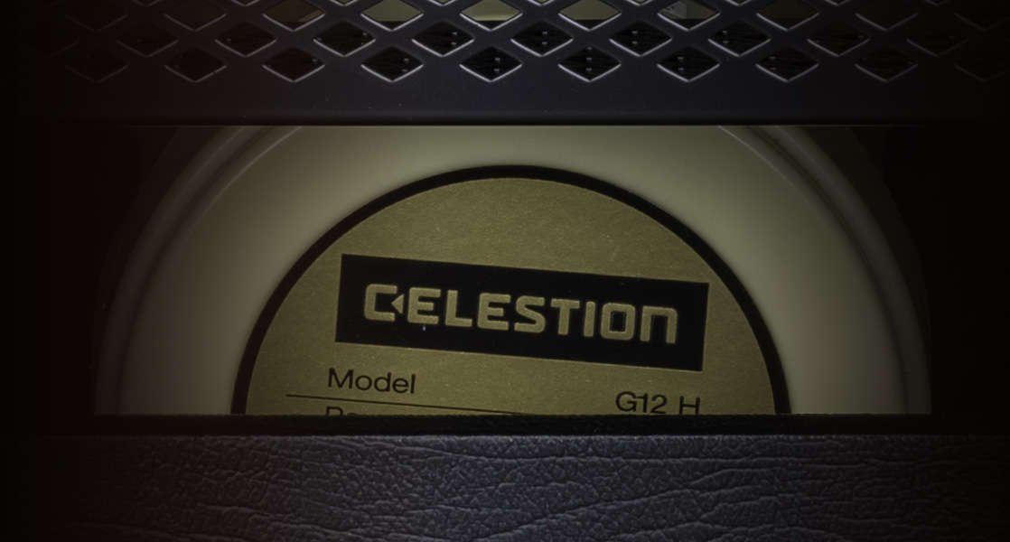 Close up of the celestion speakers on the Ashdown AGM 284C