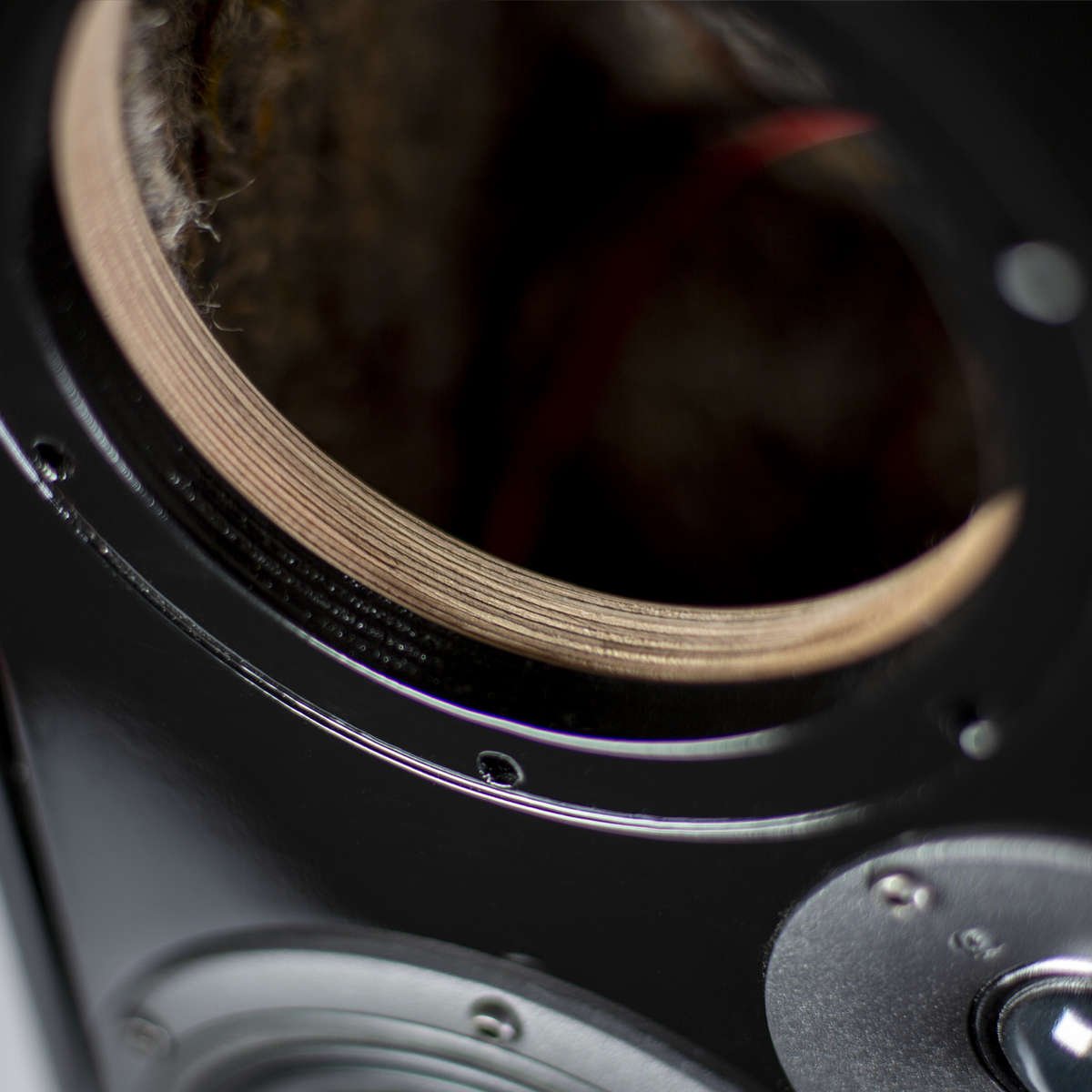 Close up of the speaker cabinet inside the Ashdown nfp 2 pro studio monitor