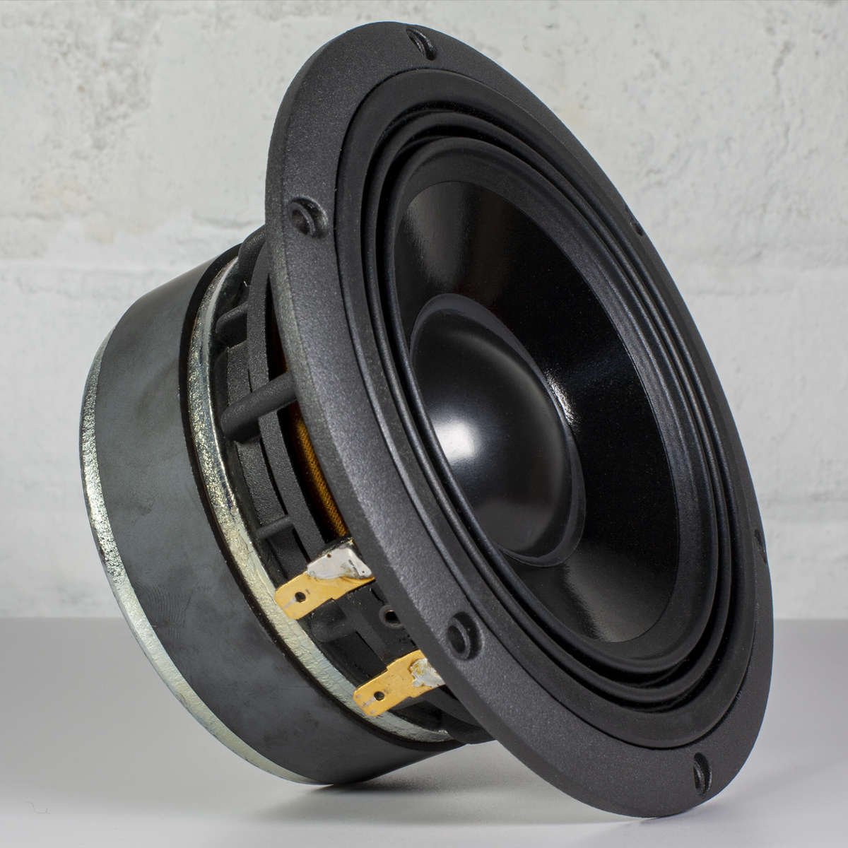 The speakers that go inside of the Ashdown nfp 2 pro studio monitor