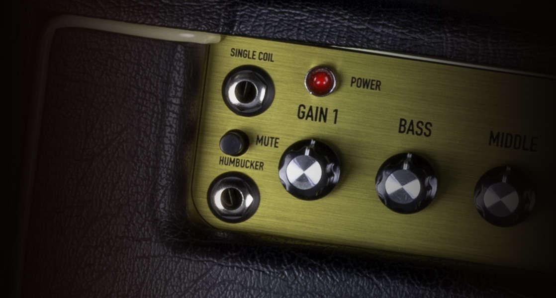 Close up of the inputs, gain 1 and bass controls on the Ashdown AGM 684c