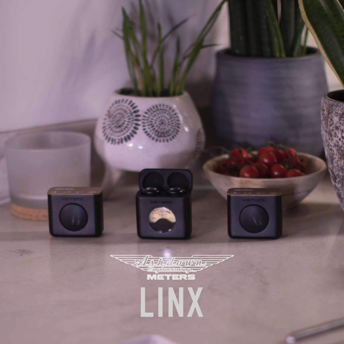 Ashdown Meters LINX full system with charging case open and two speakers