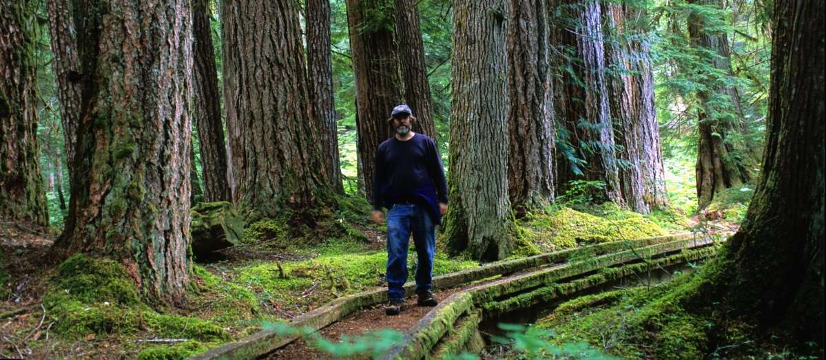 Fungi Perfecti founder, Paul Stamets, walks through a forest