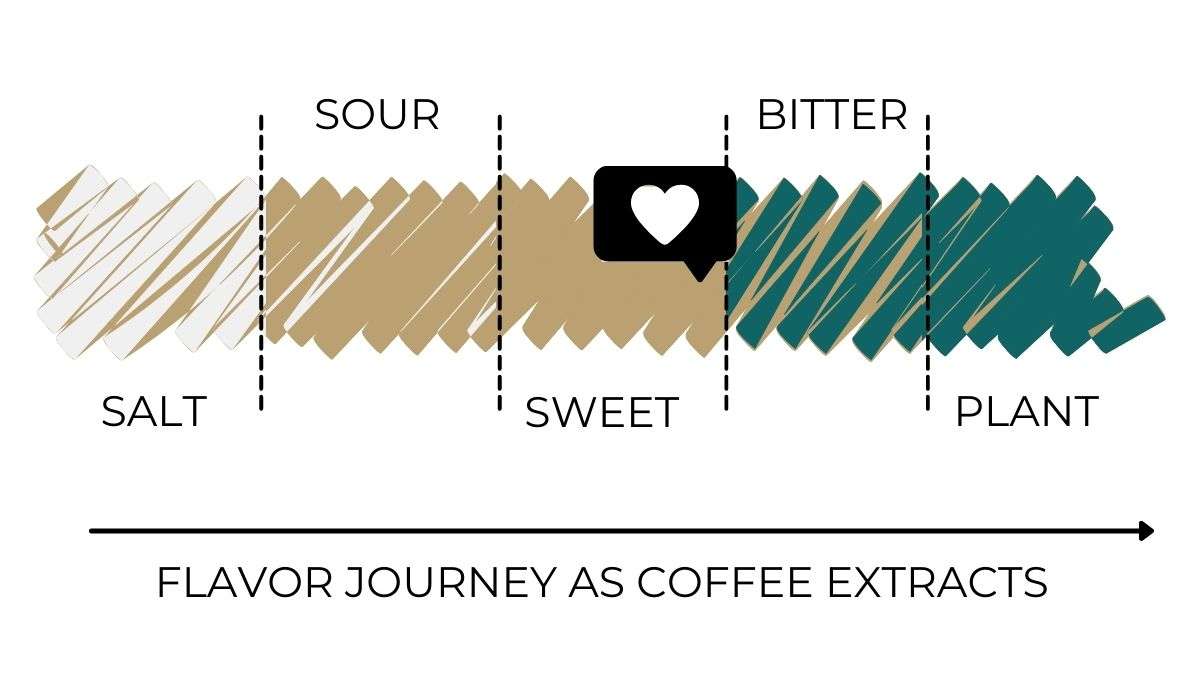 Brew Variables that Affect the Taste of Coffee Maps Coffee & Chocolate