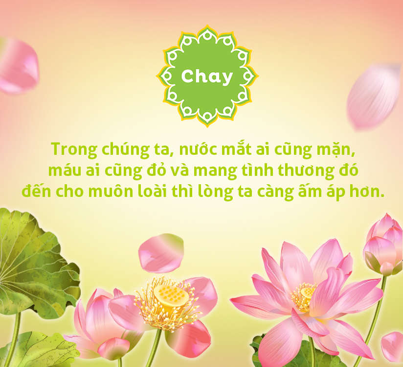an chay truong thang 7 vu lan bao hieu an chay truong thang 7 vu lan bao hieu