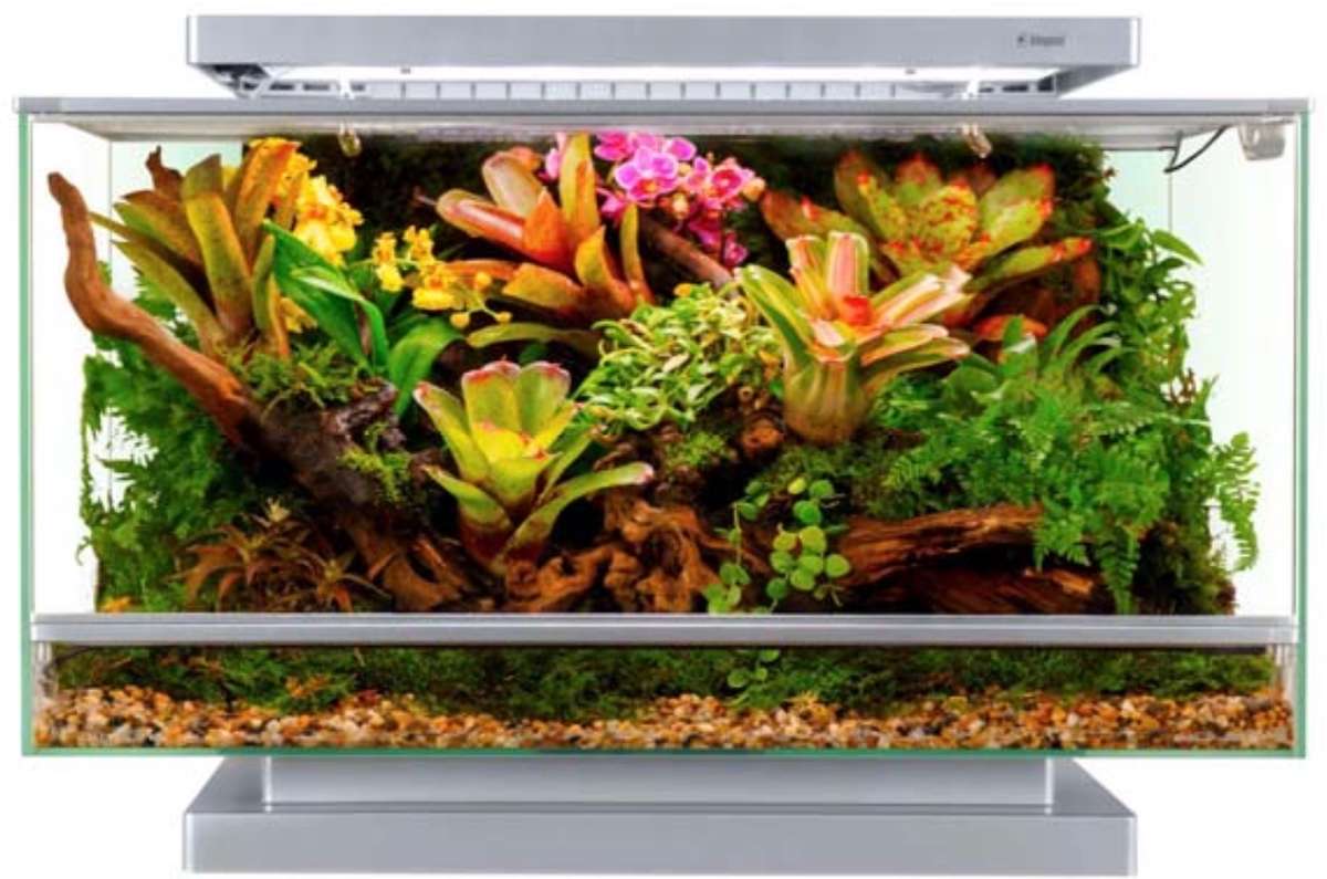 Aquariums + Aqua Lab Aquaria