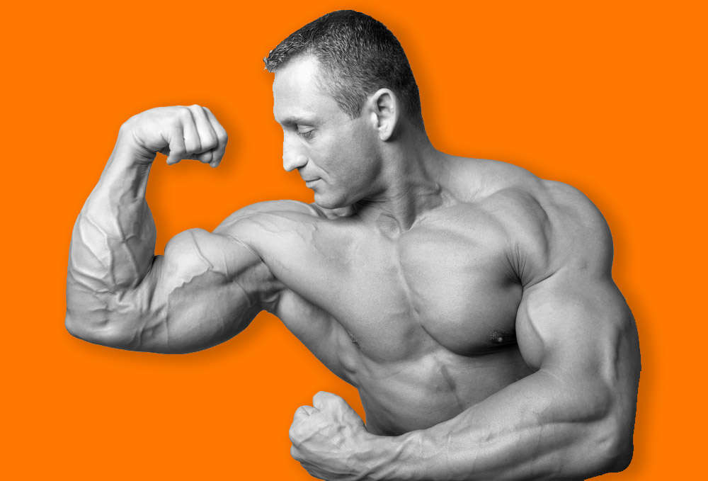Get big_mass gainer supplement by da nutrition Get big_mass gainer supplement by da nutrition