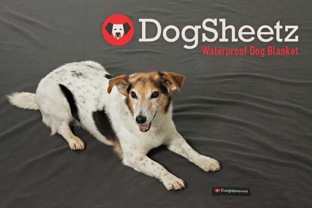 Never have to wash your dog bed again! Never have to wash your dog bed again!