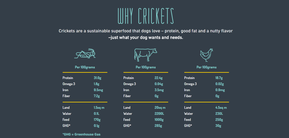 Cricket Dog Treats more Sustainable