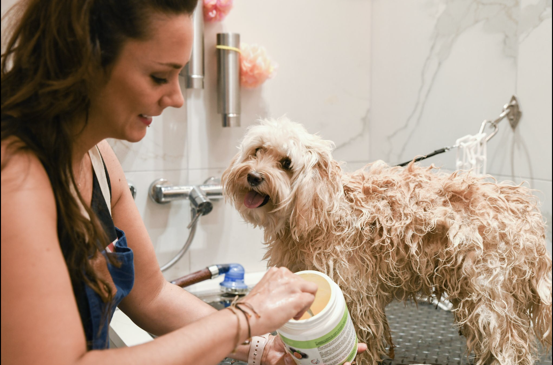 dog grooming Paris 6, dog grooming and care, dog bath, dog haircut, pet grooming