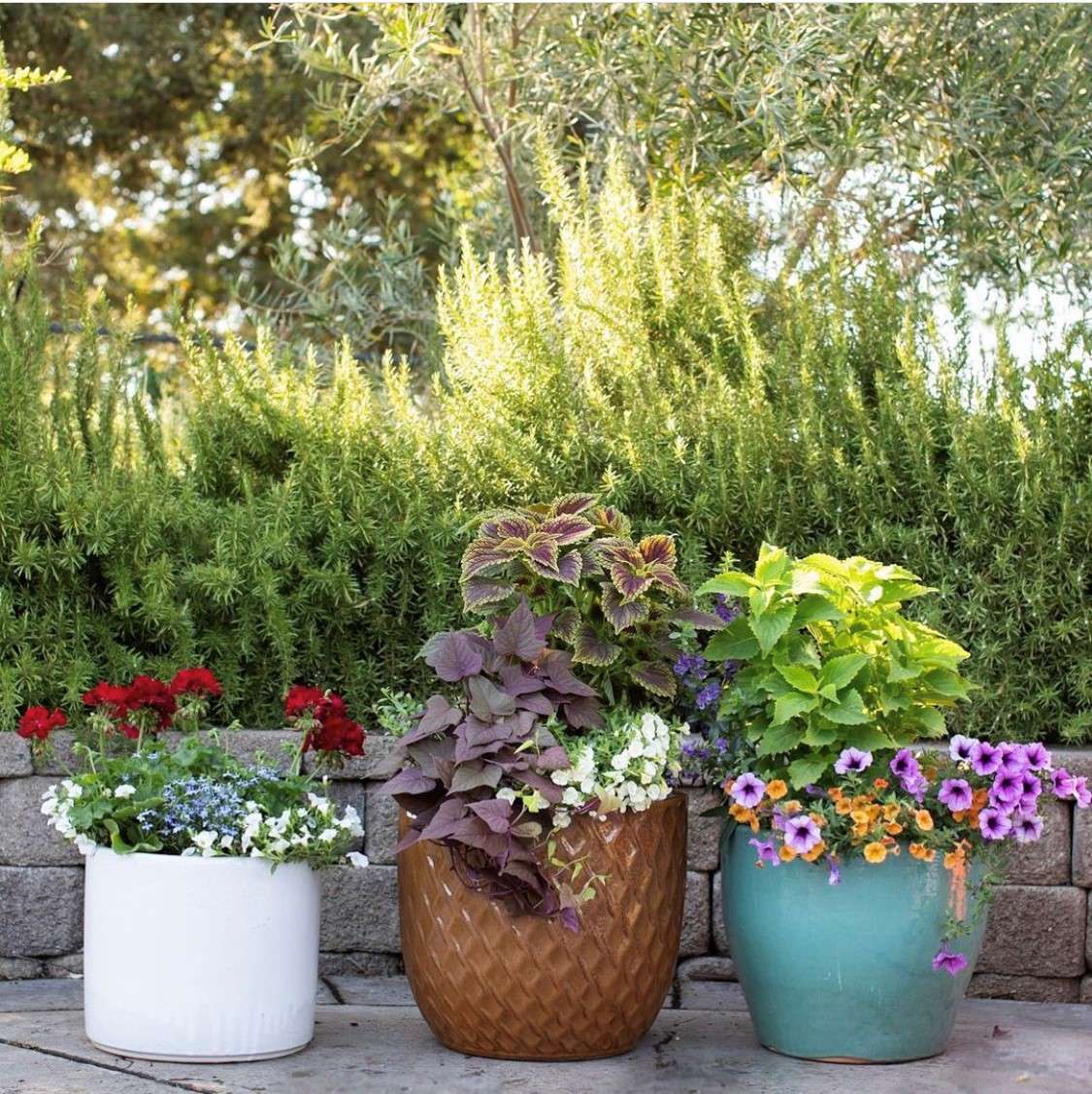 Porch Pots display