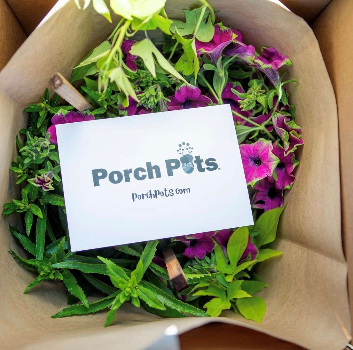 Porch Pot box filled with a beautiful plant combo and ready for shipping. 