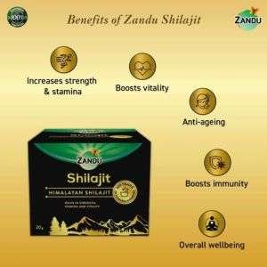 Shilajit Resin Benefits