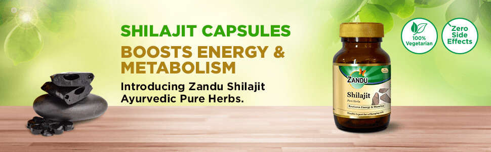 Zandu Shilajit capsule 