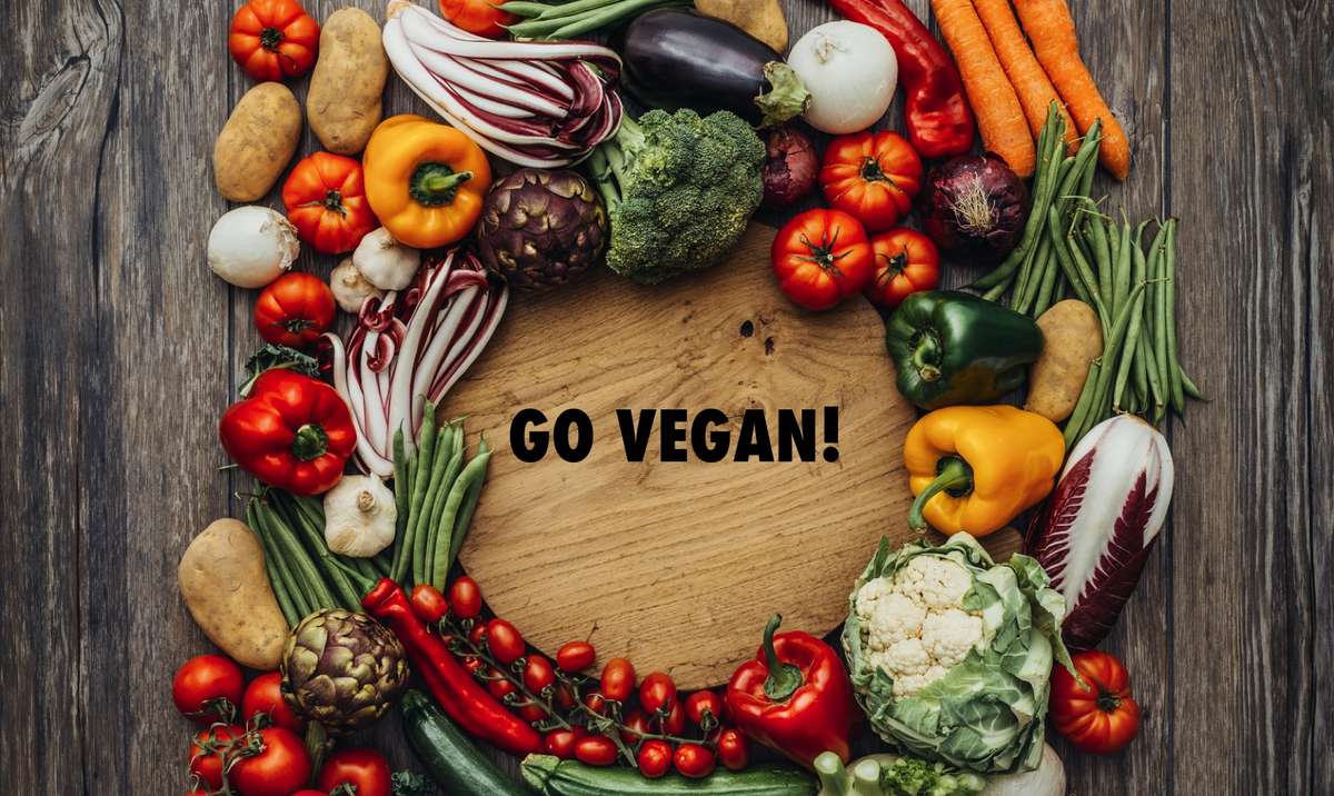 GO VEGAN AT VOMADLIFE.COM