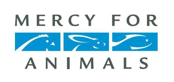 Mercy For Animals Mercy For Animals