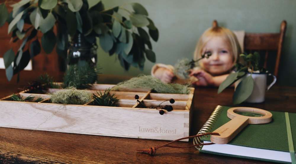 Rooted in Nature Set by fawn&forest Rooted in Nature Set by fawn&forest