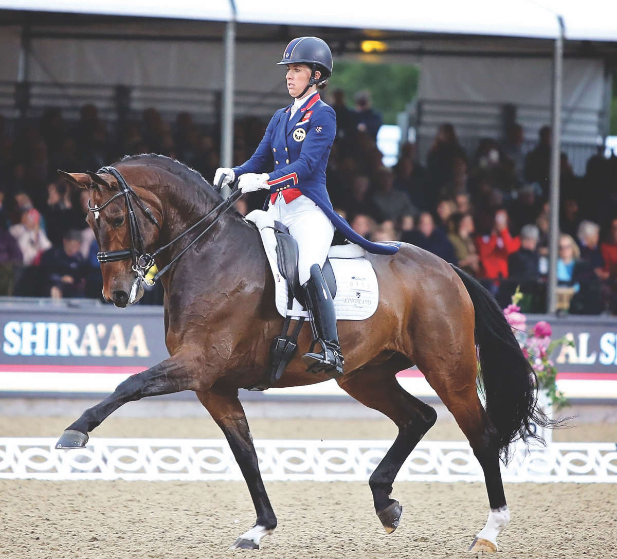 Kingsland dressage jacket sale